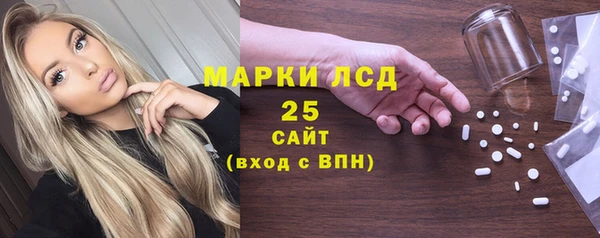 spice Богородск