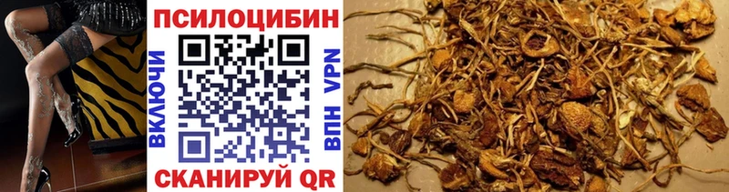Галлюциногенные грибы Cubensis Кореновск